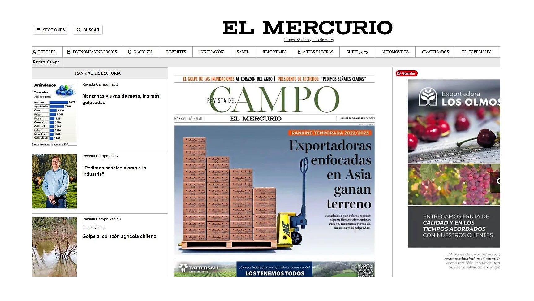 45|chile horticultura